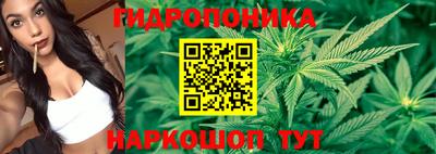 альфа пвп Краснознаменск