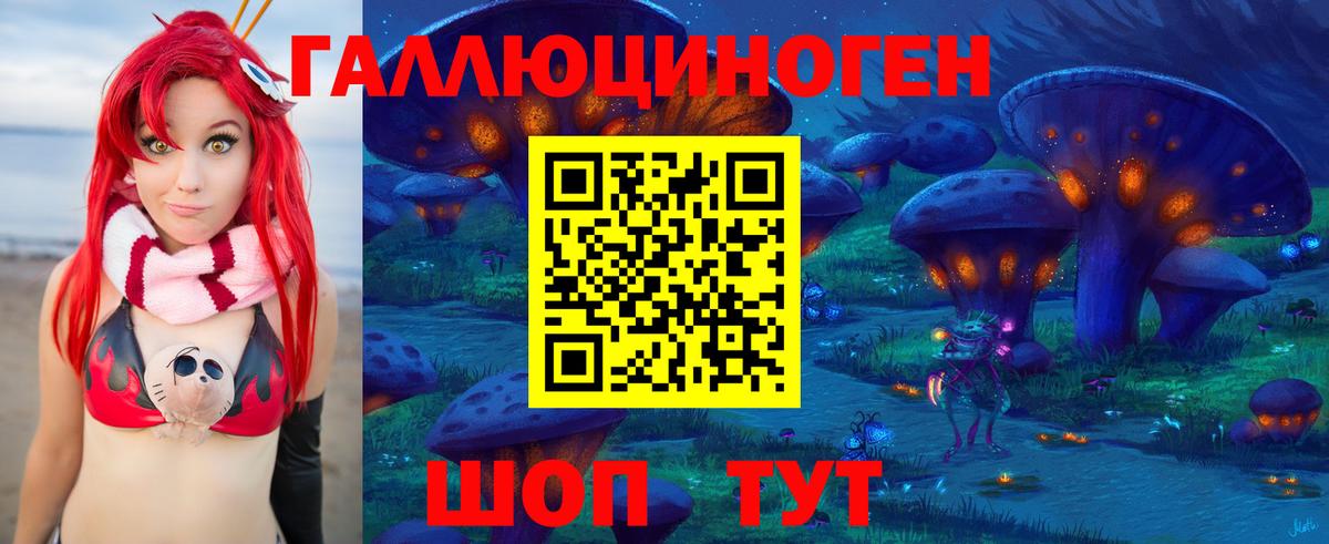 Ишим  где купить наркотик  Вход с VPN  Галлюциногенные грибы Psilocybine cubensis 